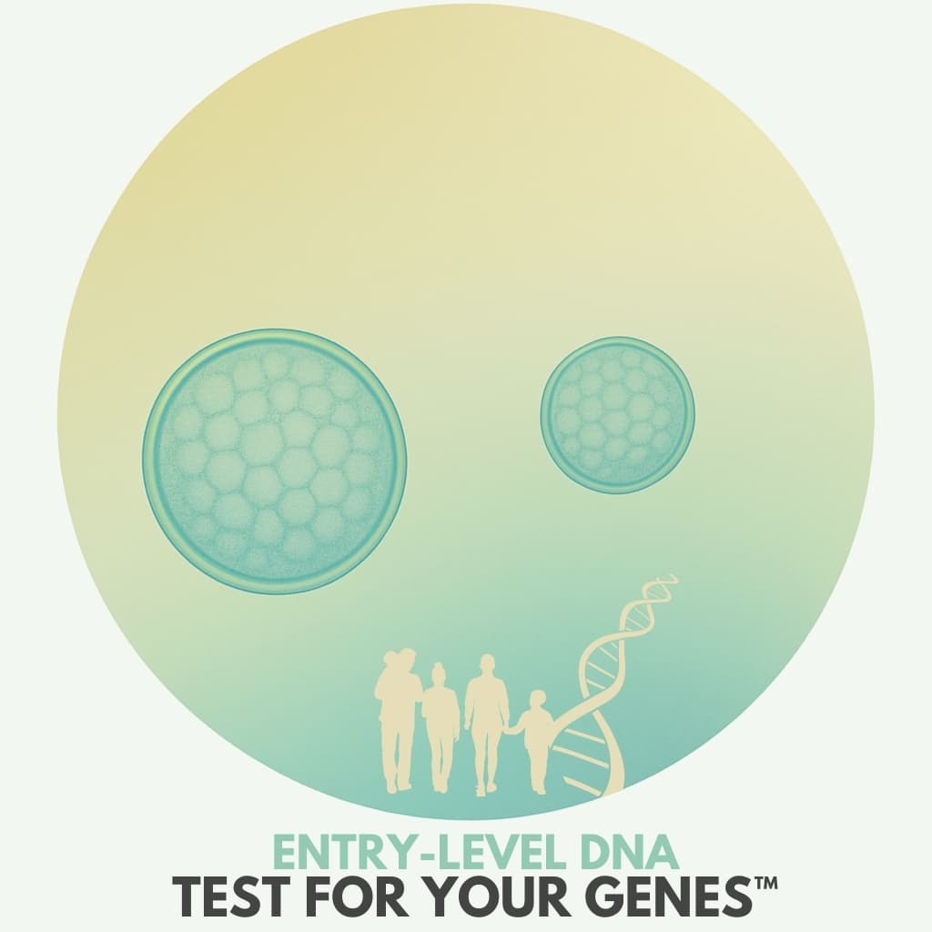 Genesis DNA kit / starter package preview